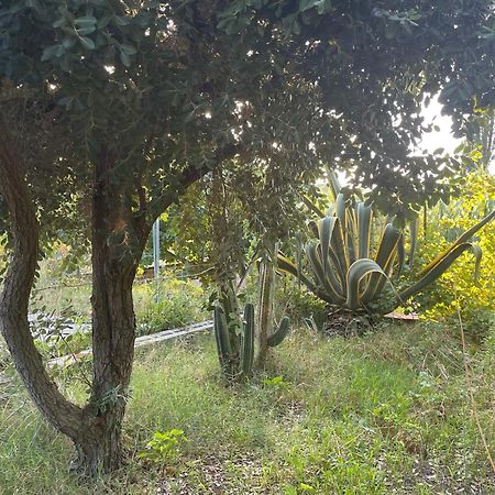 Villa Vittoria Trappeto  Exterior foto