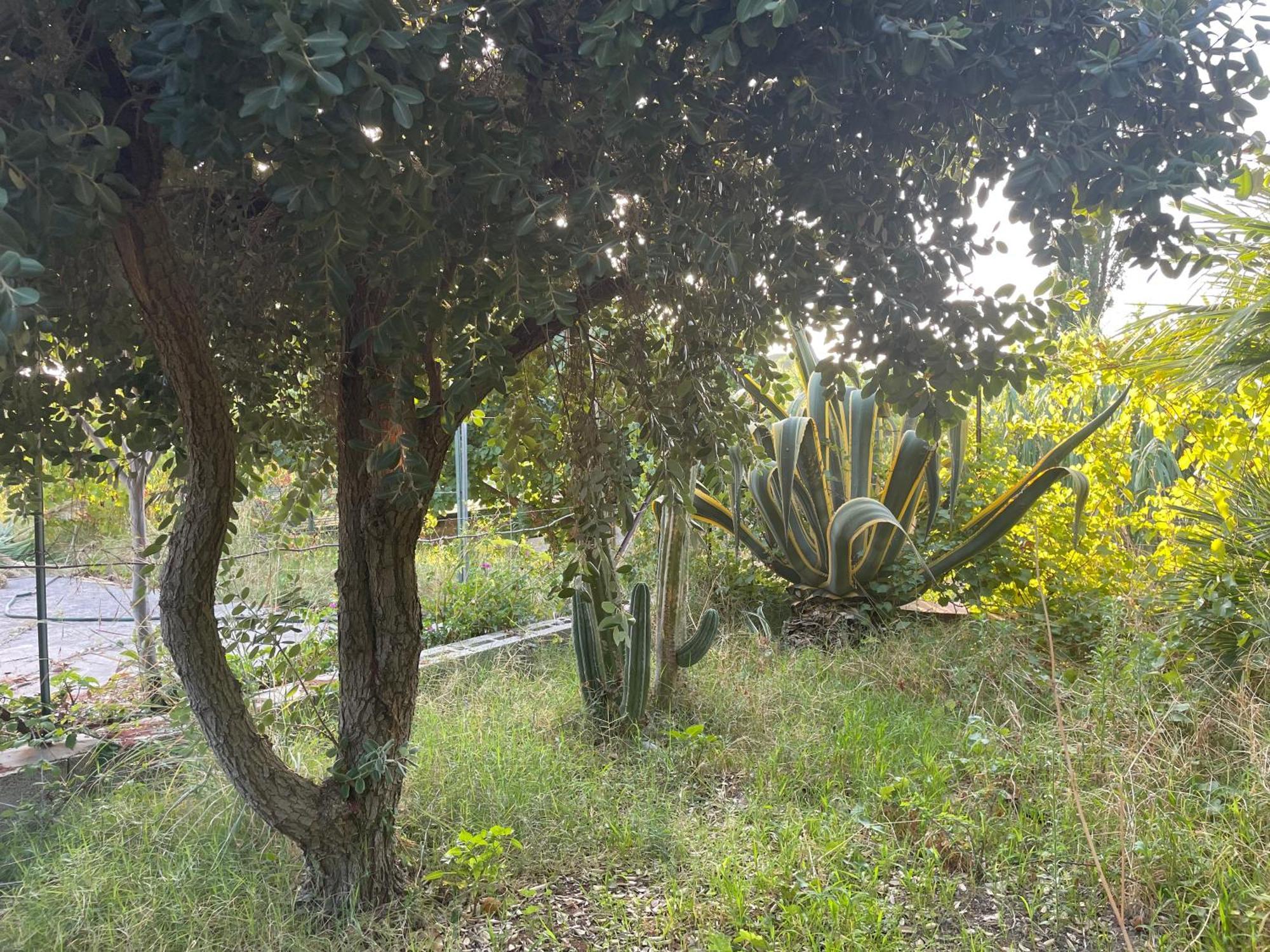 Villa Vittoria Trappeto  Exterior foto
